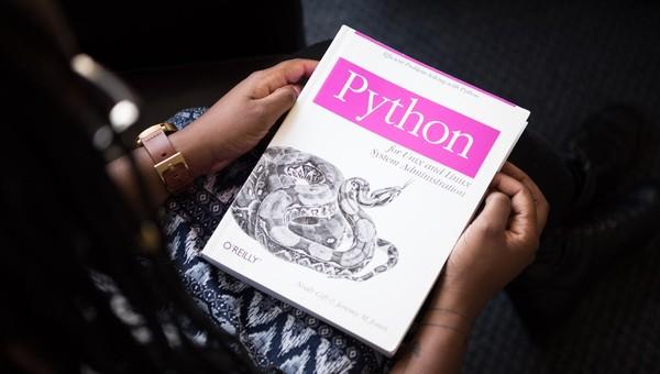 Python book